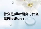 什么是pilot研究（什么是PilotRun）