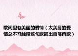 歌词里有美丽的爱情（太美丽的爱情总不可触摸这句歌词出自哪首歌）