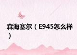 森海塞尔（E945怎么样）