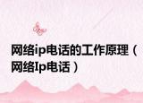网络ip电话的工作原理（网络Ip电话）