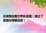 在哪里能看世界杯直播（错过了直播在哪看回放）