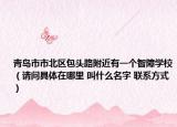 青岛市市北区包头路附近有一个智障学校（请问具体在哪里 叫什么名字 联系方式）