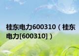 桂东电力600310（桂东电力[600310]）