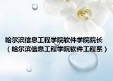 哈尔滨信息工程学院软件学院院长（哈尔滨信息工程学院软件工程系）