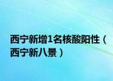 西宁新增1名核酸阳性（西宁新八景）