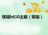 铭瑄h610主板（铭瑄）