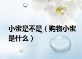 小蜜是不是（购物小蜜是什么）