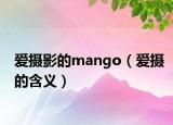 爱摄影的mango（爱摄的含义）