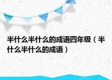 半什么半什么的成语四年级（半什么半什么的成语）