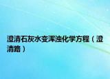 澄清石灰水变浑浊化学方程（澄清路）