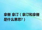拿督 拿汀（拿汀和拿督是什么意思?）