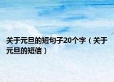 关于元旦的短句子20个字（关于元旦的短信）