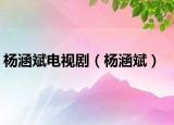 杨涵斌电视剧（杨涵斌）