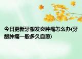 今日更新牙龈发炎肿痛怎么办(牙龈肿痛一般多久自愈)