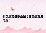什么是宽基数基金（什么是宽屏电影）