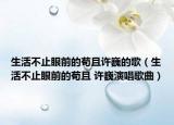生活不止眼前的苟且许巍的歌（生活不止眼前的苟且 许巍演唱歌曲）