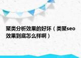 聚类分析效果的好坏（类聚seo效果到底怎么样啊）