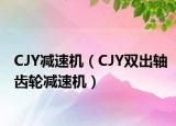 CJY减速机（CJY双出轴齿轮减速机）