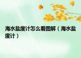 海水盐度计怎么看图解（海水盐度计）