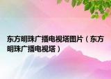 东方明珠广播电视塔图片（东方明珠广播电视塔）
