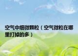 空气中细微颗粒（空气微粒在哪里打掉的多）