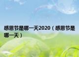 感恩节是哪一天2020（感恩节是哪一天）