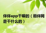 伴伴app干嘛的（酷伴网是干什么的）