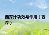 西芹汁功效与作用（西芹）