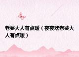老婆大人有点暖（夜夜欢老婆大人有点暖）