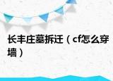 长丰庄墓拆迁（cf怎么穿墙）