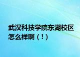 武汉科技学院东湖校区怎么样啊（!）