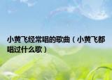 小黄飞经常唱的歌曲（小黄飞都唱过什么歌）