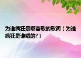 为谁疯狂是哪首歌的歌词（为谁疯狂是谁唱的?）