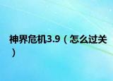 神界危机3.9（怎么过关）