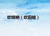 吹唢呐（吹田蛙）