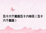 五十六个星座五十六枝花（五十六个星座）