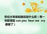 各位大哥谁知道这是什么歌（有一句歌词是 can you  hear me  cry  谢谢了）