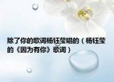 除了你的歌词杨钰莹唱的（杨钰莹的《因为有你》歌词）