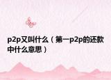 p2p又叫什么（第一p2p的还款中什么意思）