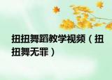 扭扭舞蹈教学视频（扭扭舞无罪）