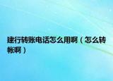 建行转账电话怎么用啊（怎么转帐啊）