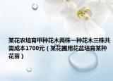 某花农培育甲种花木两株一种花木三株共需成本1700元（某花圃用花盆培育某种花苗）
