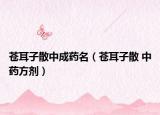 苍耳子散中成药名（苍耳子散 中药方剂）