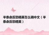 半条命反恐精英怎么调中文（半条命反恐精英）