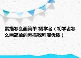 素描怎么画简单 初学者（初学者怎么画简单的素描教程呢优质）