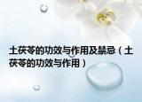土茯苓的功效与作用及禁忌（土茯苓的功效与作用）