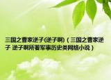 三国之曹家逆子(逆子啊)（三国之曹家逆子 逆子啊所著军事历史类网络小说）