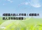 成都最大的人才市场（成都最大的人才市场在哪里）