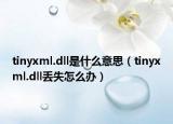 tinyxml.dll是什么意思（tinyxml.dll丢失怎么办）