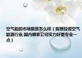 空气能的市场前景怎么样（我想投资空气能源行业,国内哪家公司实力好更专业一点）